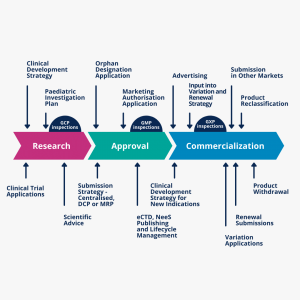 CLINICAL DATA MANAGEMENT